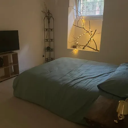 Ikigai Casa Colosseo Rome